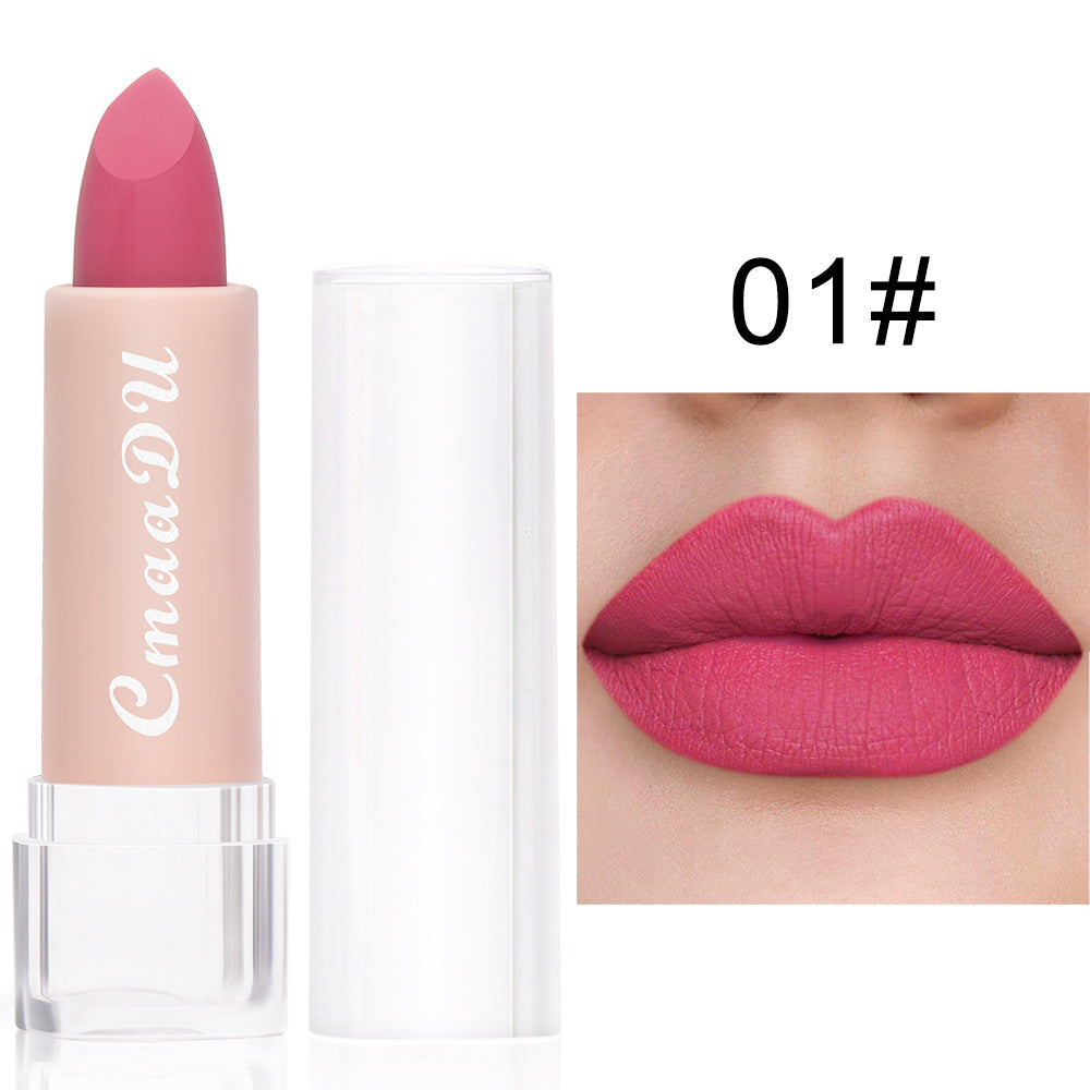 CmaaDu 15 Colour Matte Velvet Lipstick Waterproof Long Lasting Nude Lipstick brightly coloured TMSmartHub2021 1.99