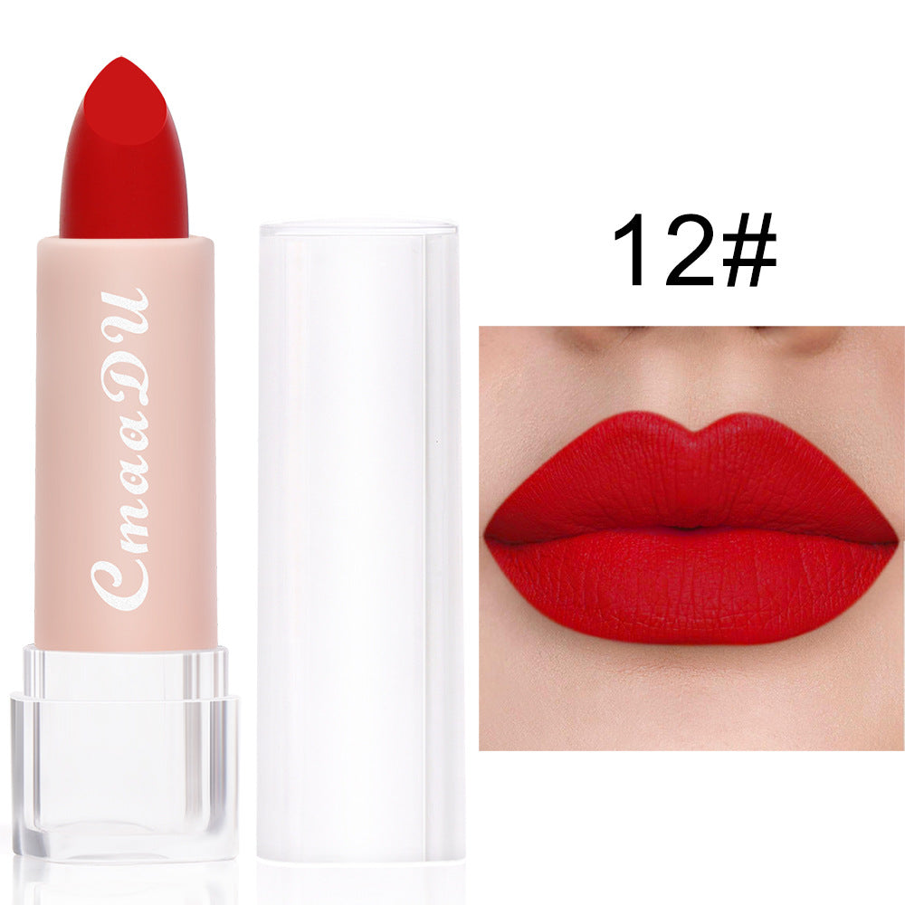 CmaaDu 15 Colour Matte Velvet Lipstick Waterproof Long Lasting Nude Lipstick brightly coloured TMSmartHub2021 1.99