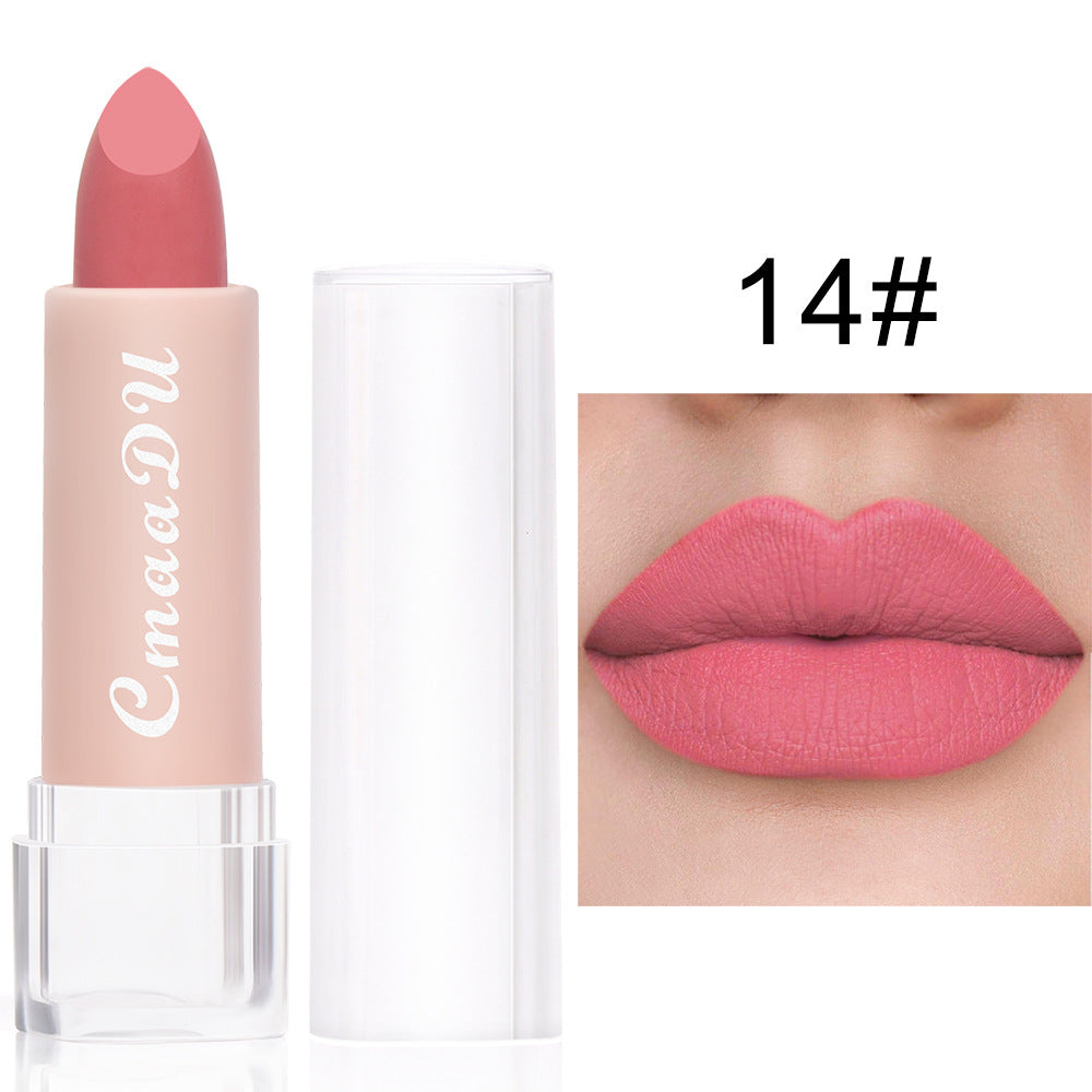 CmaaDu 15 Colour Matte Velvet Lipstick Waterproof Long Lasting Nude Lipstick brightly coloured TMSmartHub2021 1.99